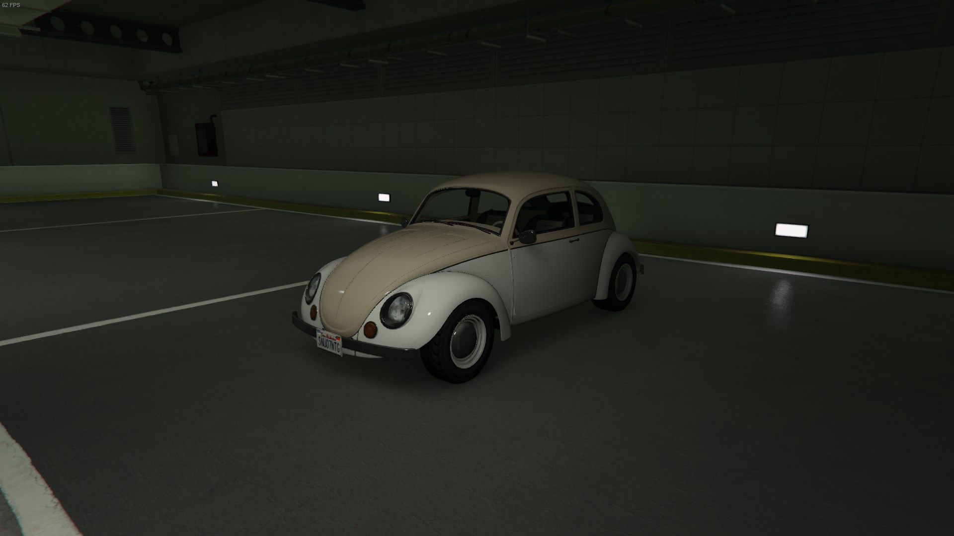 Weevil
